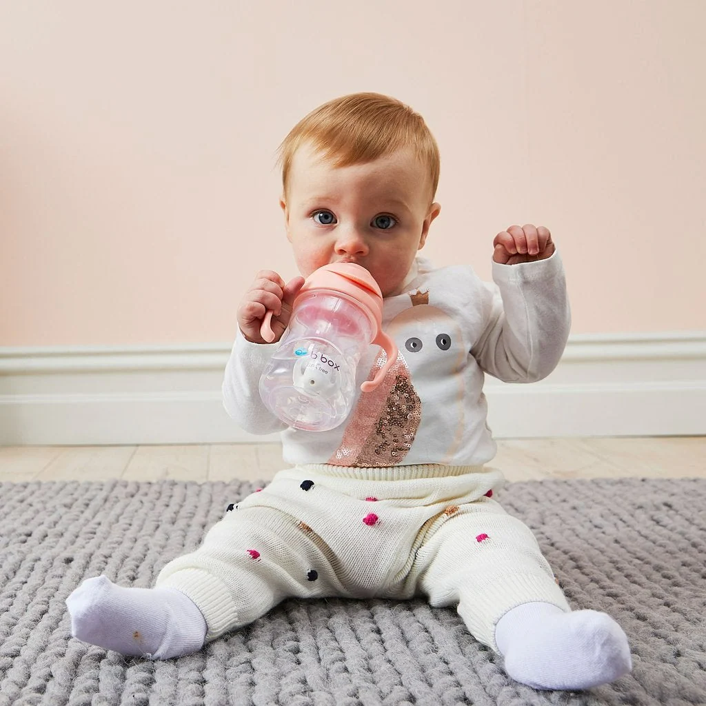b.box Sippy Cup V2 - Gelato - Image 19