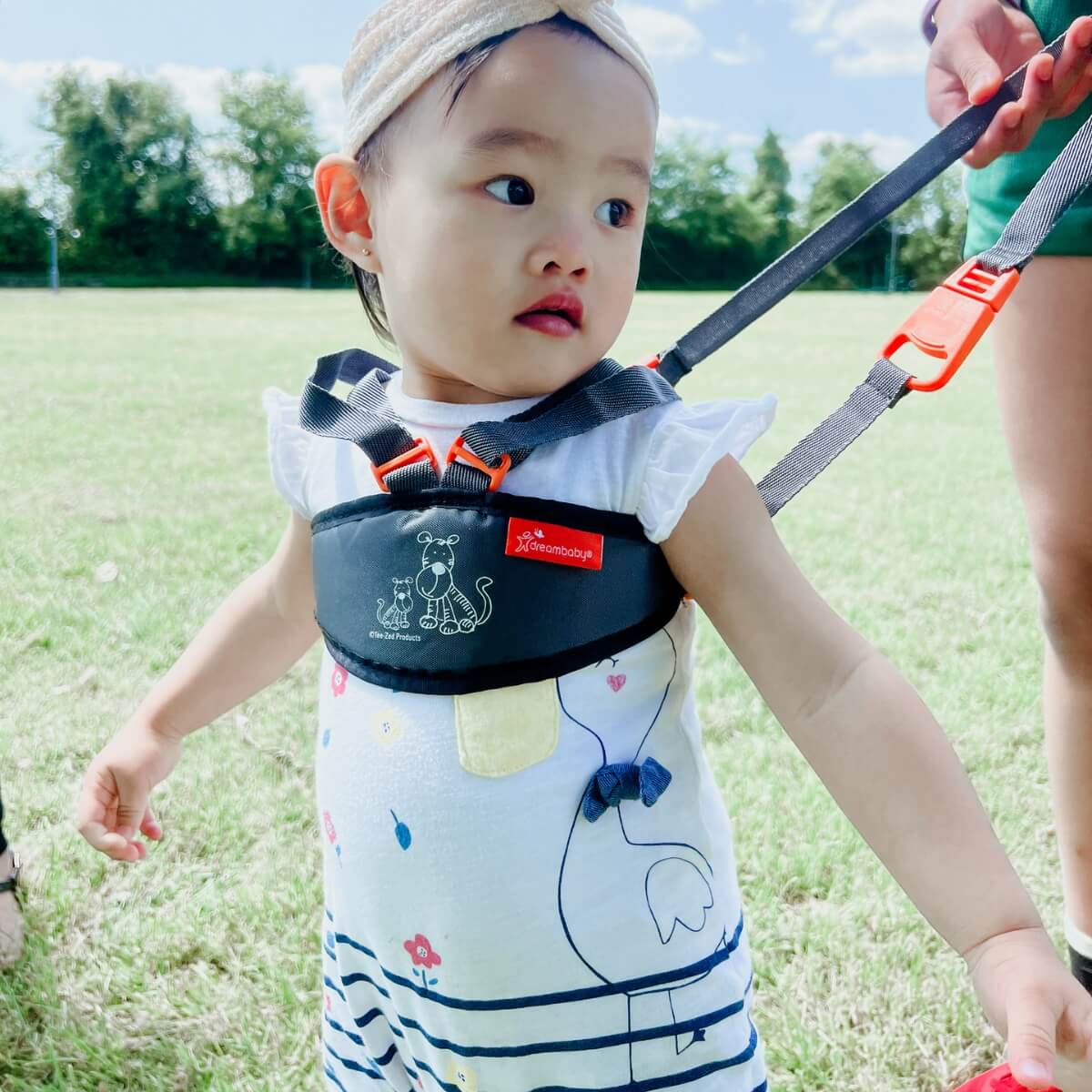 Dreambaby Safety Walking Harness - Image 4