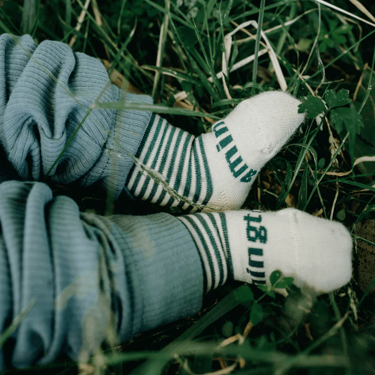Lamington Crew Socks - Image 20