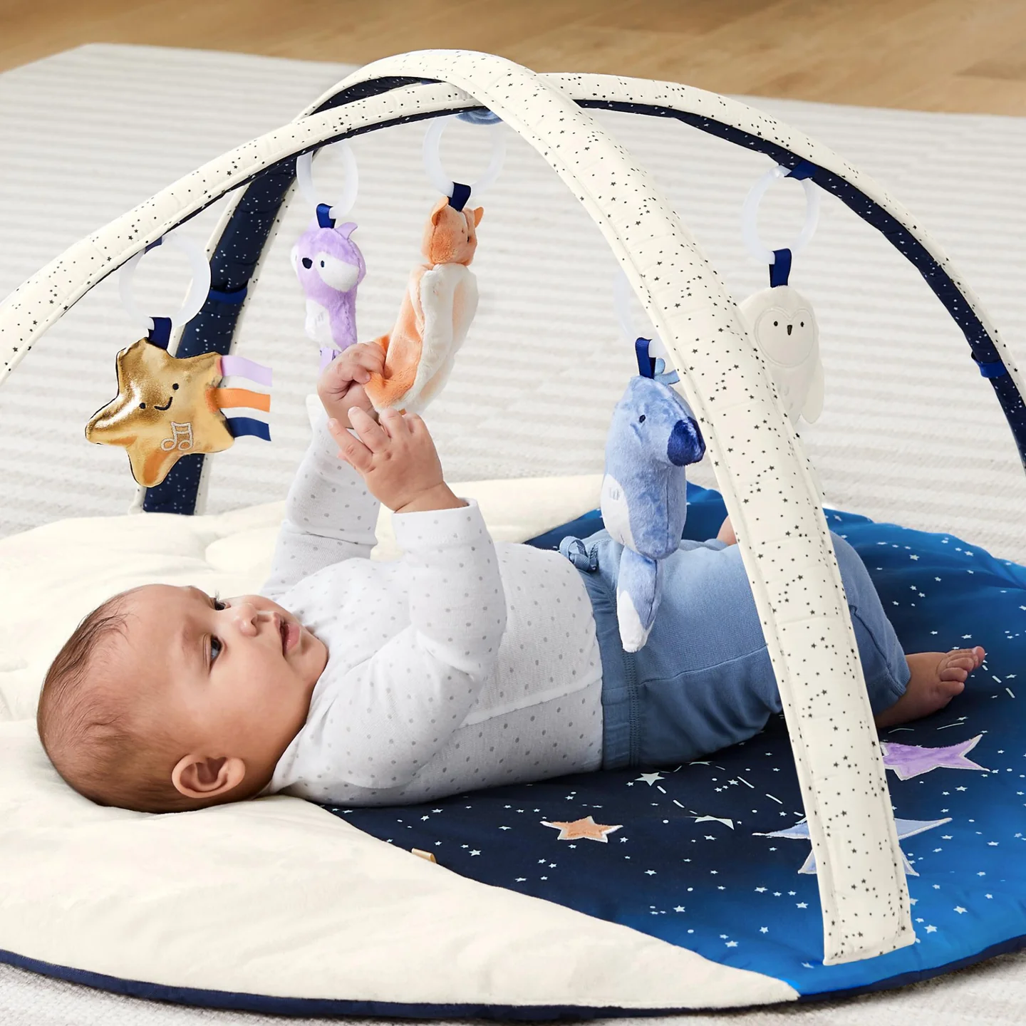 Skip Hop Celestial Dreams Activity Gym - Image 2