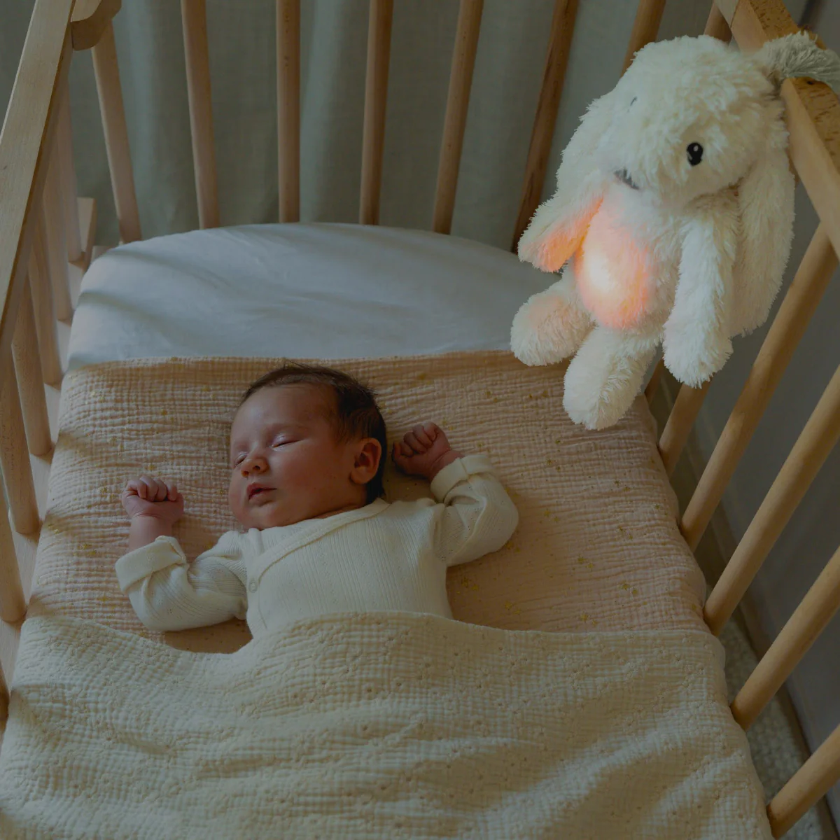 Zazu Ro The Rabbit - Image 4